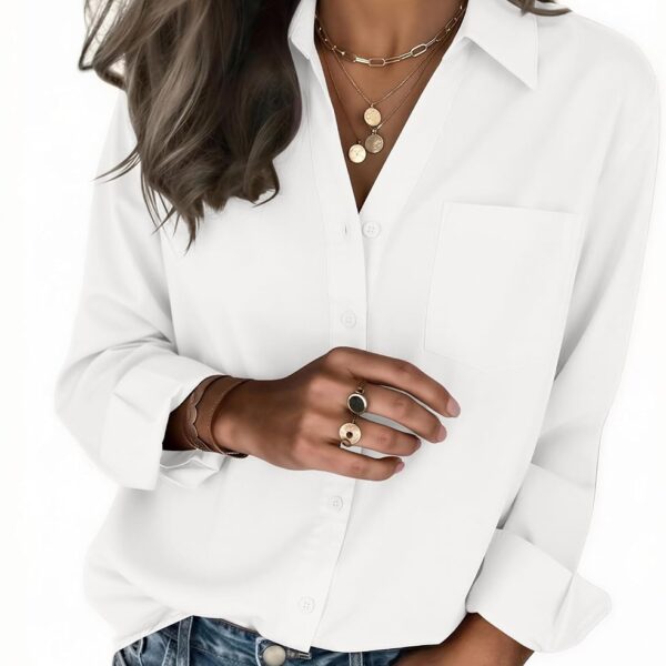 Zeagoo Women’s Dressy Casual Button-Down Blouse